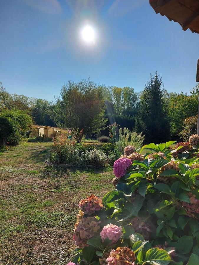 ホテル Le Moulin De L'Etang Chaneins エクステリア 写真