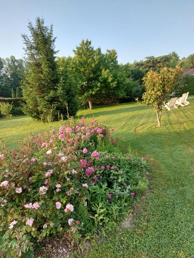 ホテル Le Moulin De L'Etang Chaneins エクステリア 写真